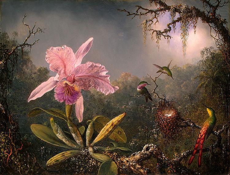 Martin Johnson Heade Cattleya Orchid and Three Brazilian Hummingbirds china oil painting image